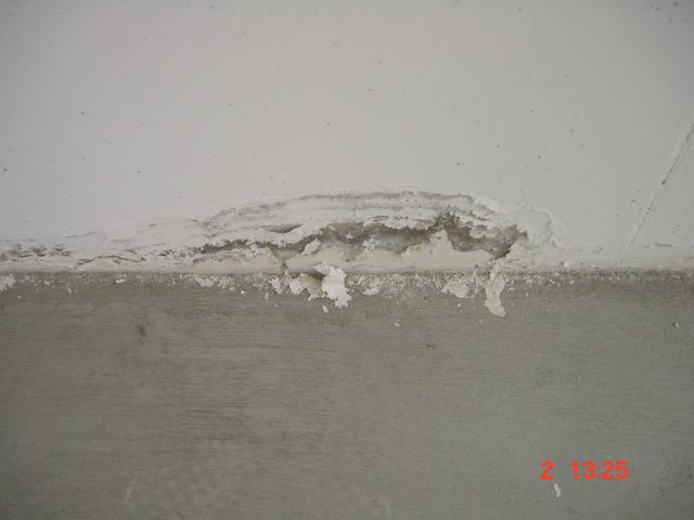 DSC00169