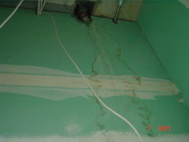 DSC00195