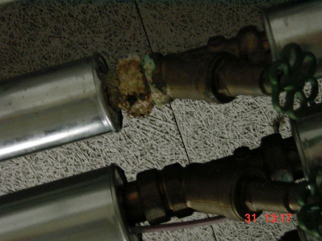 DSC02565
